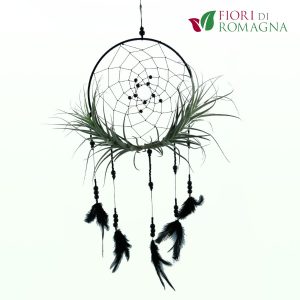 TILLANDSIAS Till- sueños-001